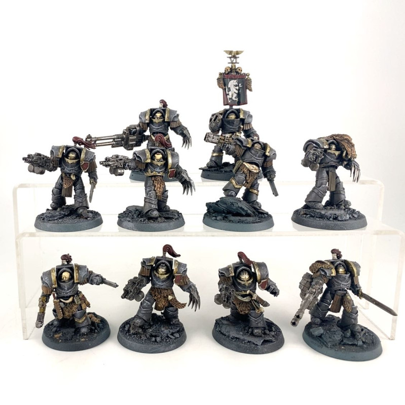 Escouade Terminators Cataphractii