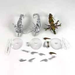 Acanthrites Canoptek