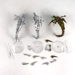 Acanthrites Canoptek