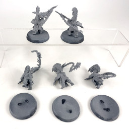 Hearthguard berzerkers