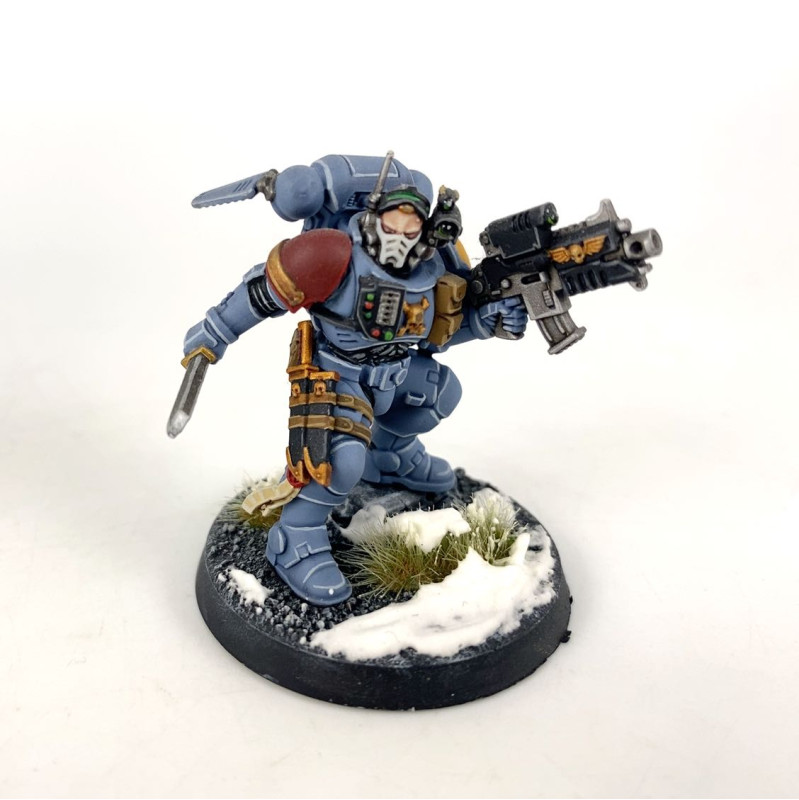 Lieutenant in Reiver Armour