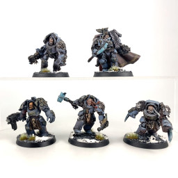 Wolf Guard Terminators...