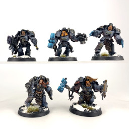 Wolf Guard Terminators...
