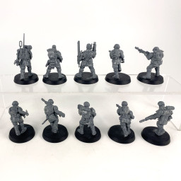 Cadian shock troups