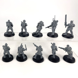 Cadian shock troups