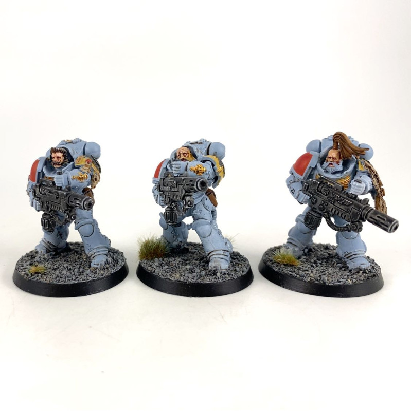 Primaris Eradicators