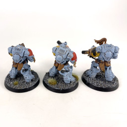 Primaris Eradicators