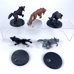 Loups Fenrissiens