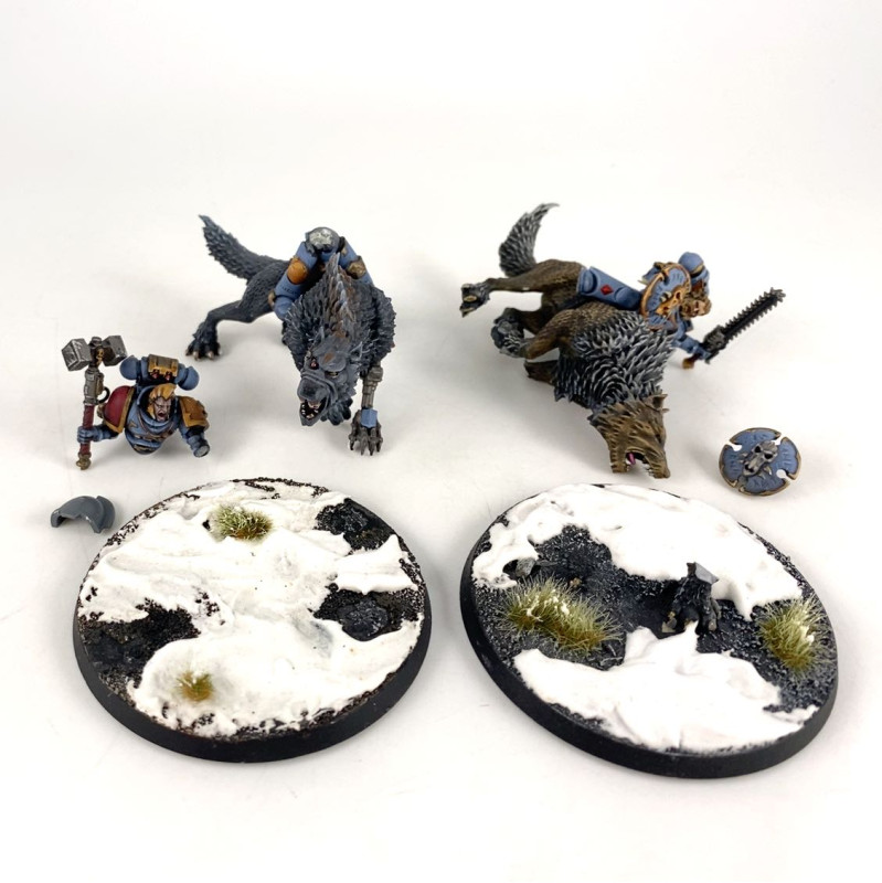 Thunderwolf Cavalry
