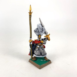 High Elf Hero