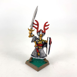 High Elf Hero