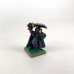 Dark Elf Assassins