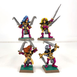 Witch Elves