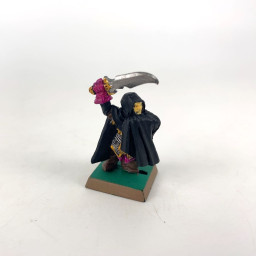 Dark Elf Assassins