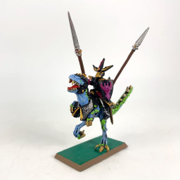 Dark Elf General on Cold One