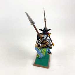 Dark Elf General on Cold One
