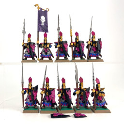 Dark Elf Warriors