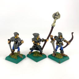 Wood Elf Command Group
