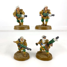 Tallarn Guardsmen