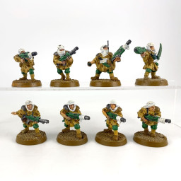 Tallarn Guardsmen