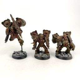 Chaos Raptors Old