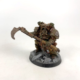 Typhus