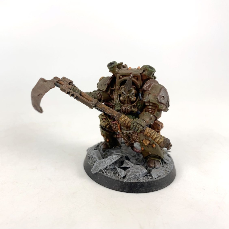 Typhus