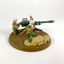 Tallarn Desert Raiders with Autocannon Forgeworld