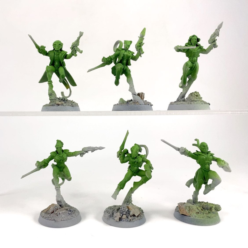 Troupes Harlequins