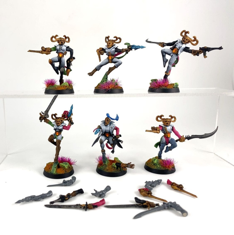 Troupes Harlequins conversion