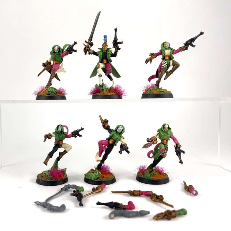 Troupes Harlequins