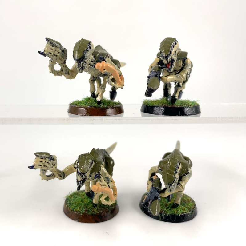 Termagant brood Ancient