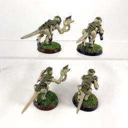 Termagant brood Old