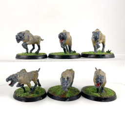 Fell Wargs