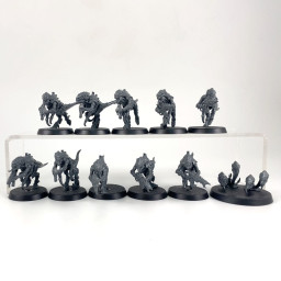 Termagants + nuée voraces