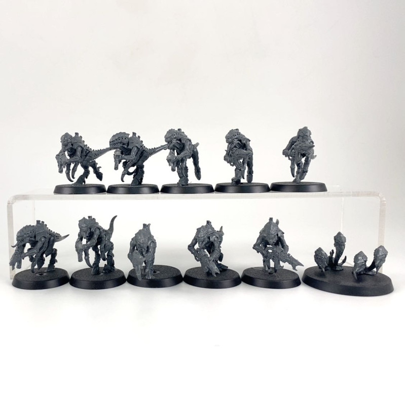 Termagants + nuée voraces