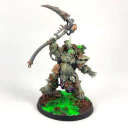 Typhus