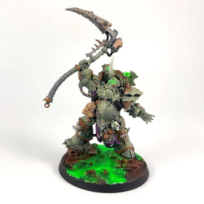 Typhus