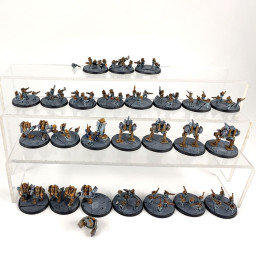 Infanterie des Solar Auxilia