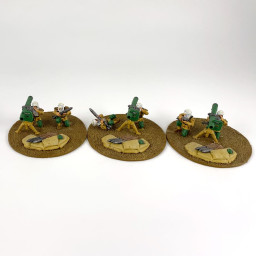 Tallarn Desert Raiders with...