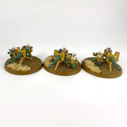 Tallarn Desert Raiders with...