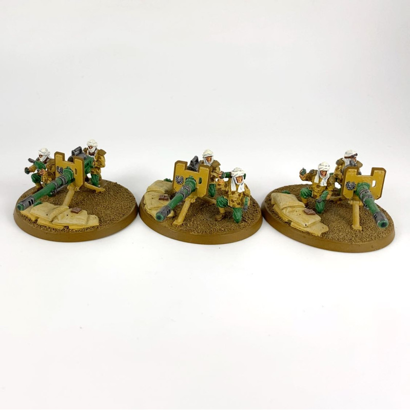 Tallarn Desert Raiders with Autocannon Forgeworld