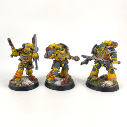 Assault intercessors