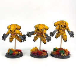 Inceptor Squad