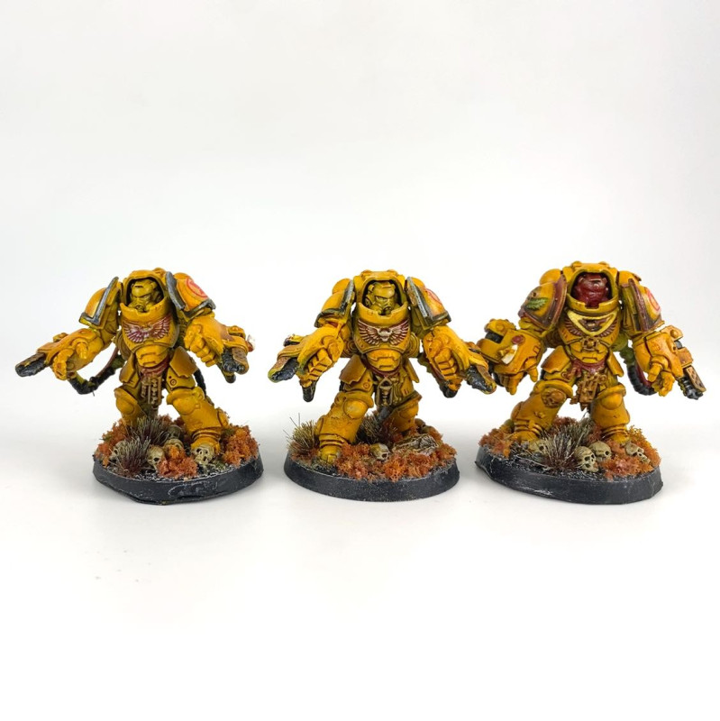 Aggressor Squad