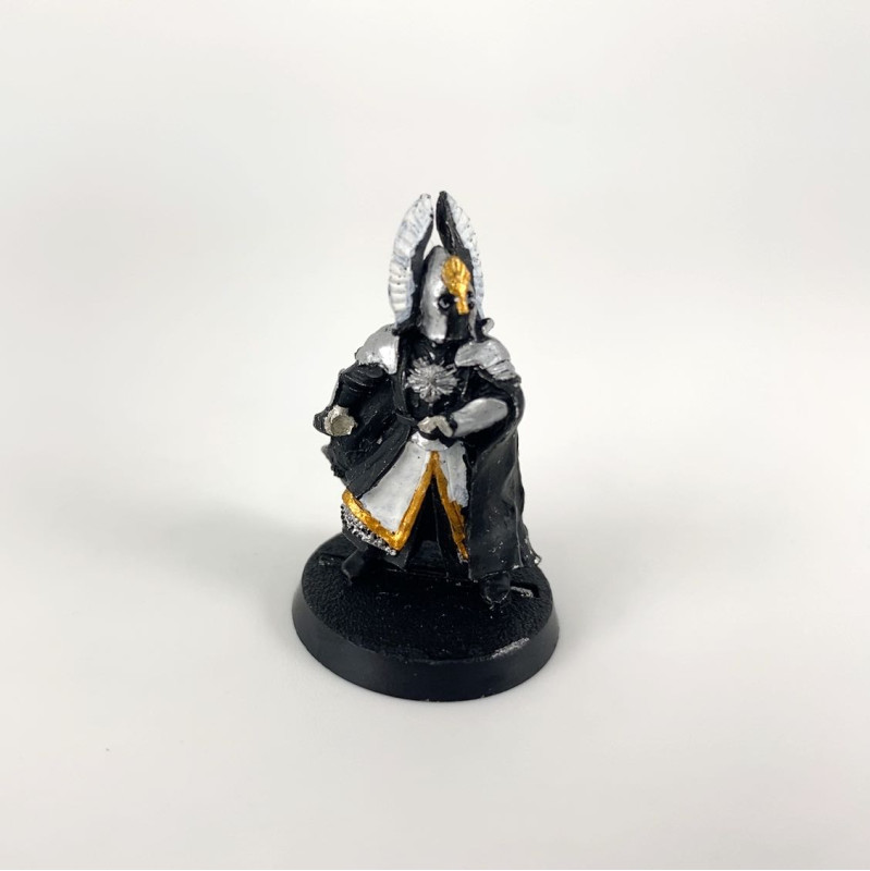 Guards of the foutain court incomplet