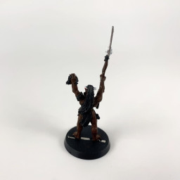 Uruk-Haï Shaman