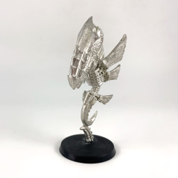 Zoanthrope