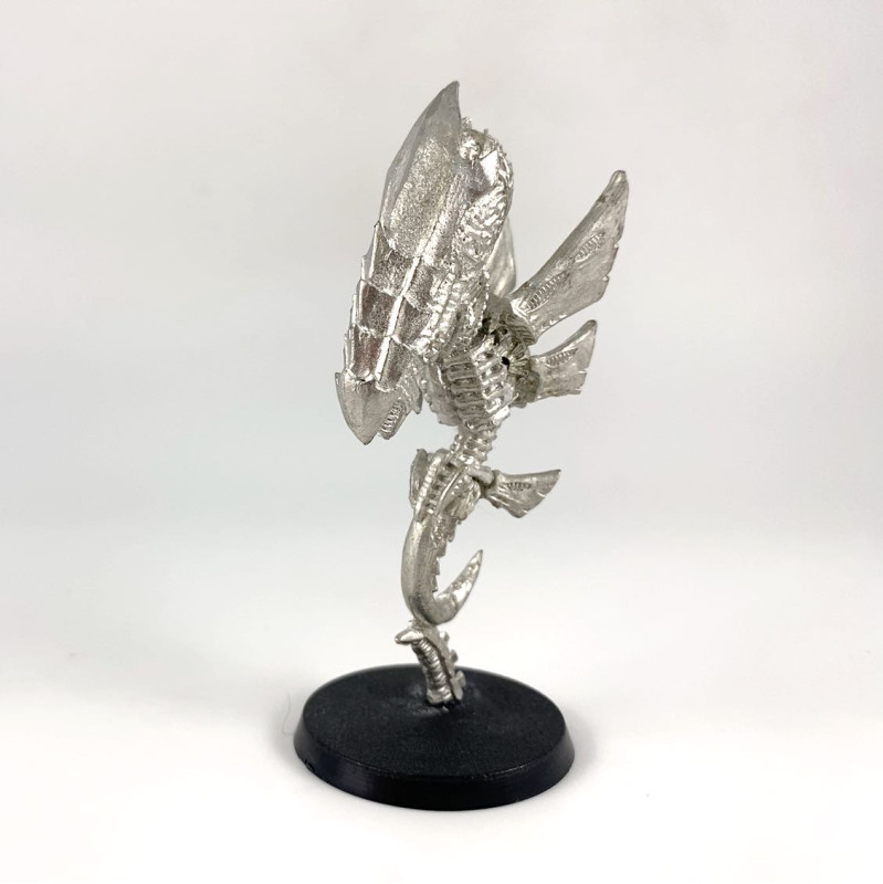 Zoanthrope