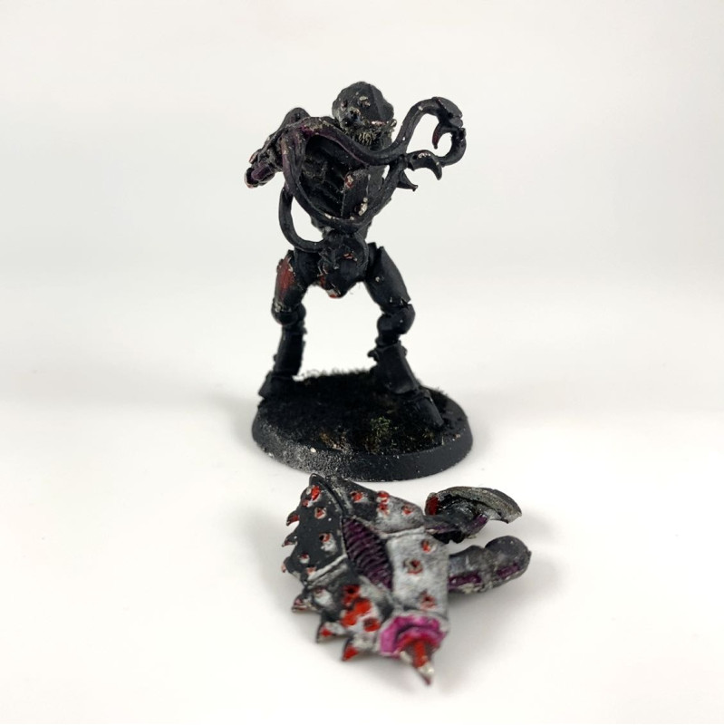 Tyranid warriors  incomplet